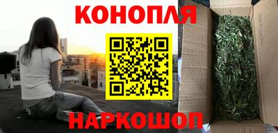 индика Краснознаменск